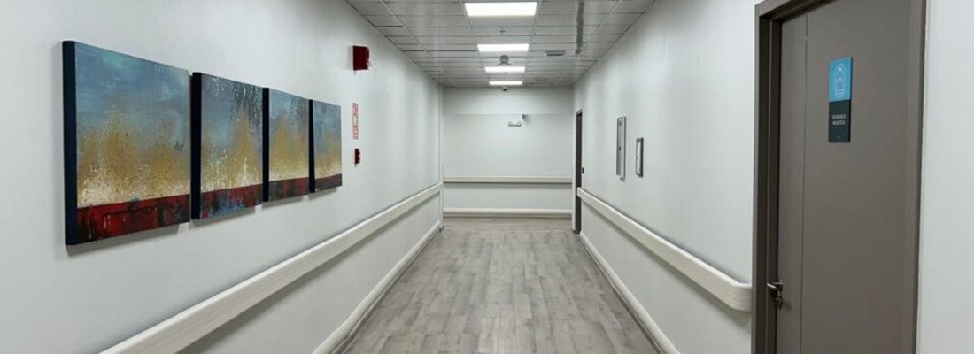 PVC wall guards