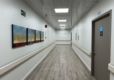 PVC wall guards